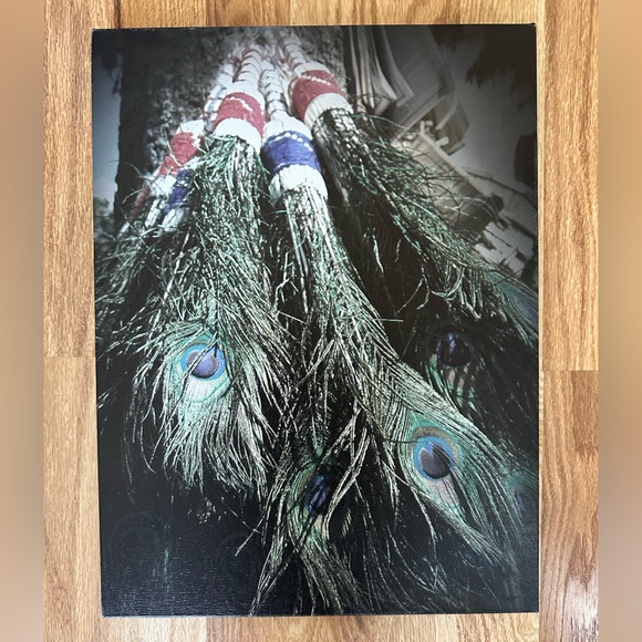 Photo Canvas print - Feathers in India - 12 x 16 - Picture 1 of 1